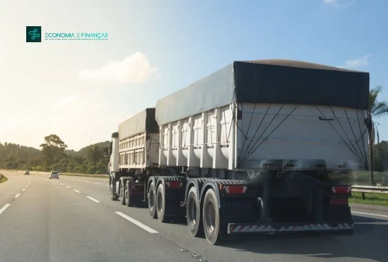Serviço de Transporte de Carga Rodoviário - Serviço de Transporte de Carga Dedicada